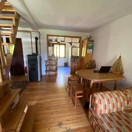 Mystic Forest Hostel Mitrovac Exterior photo